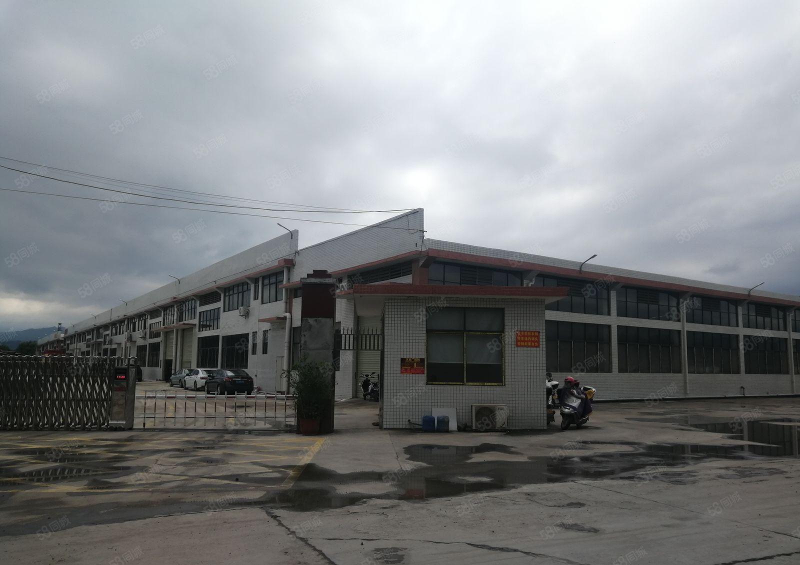 惠东5000平米多祝温泉附近单一层标准厂房出租可办环评