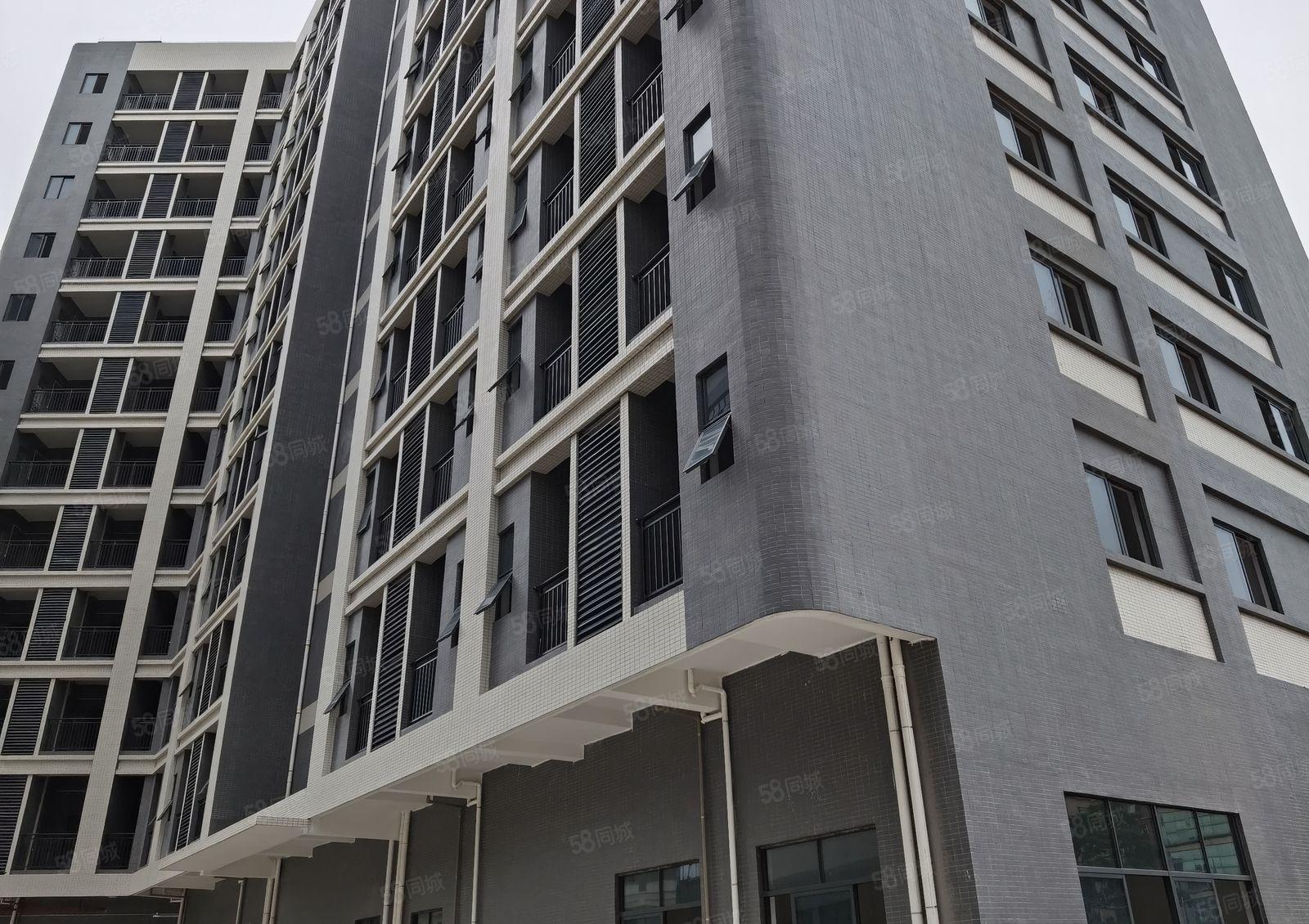 惠东平潭镇60000平方全新红本标准厂房原房东招租可分租