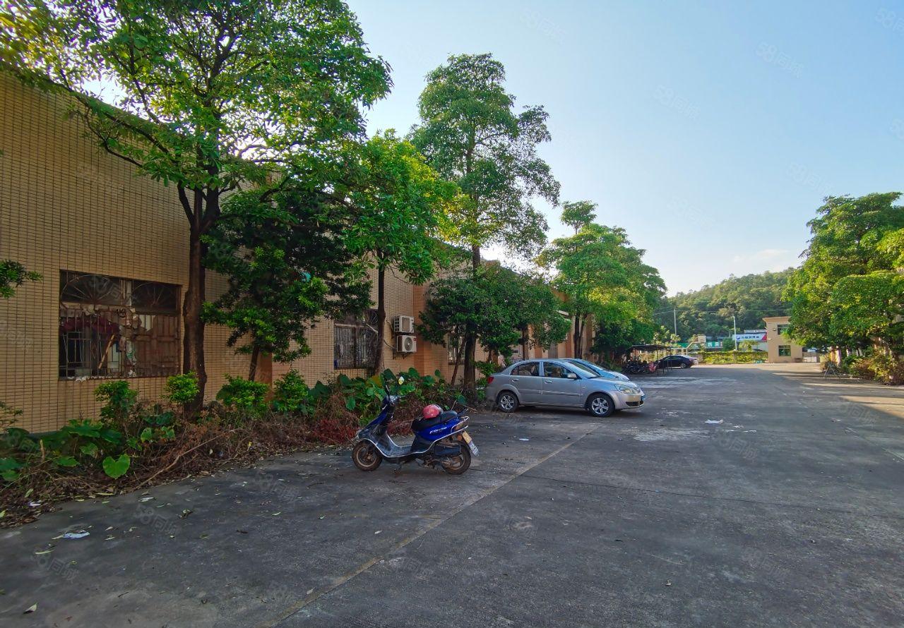 吉隆镇国道边花园式独门独院红本单一层标准厂房6500平招租