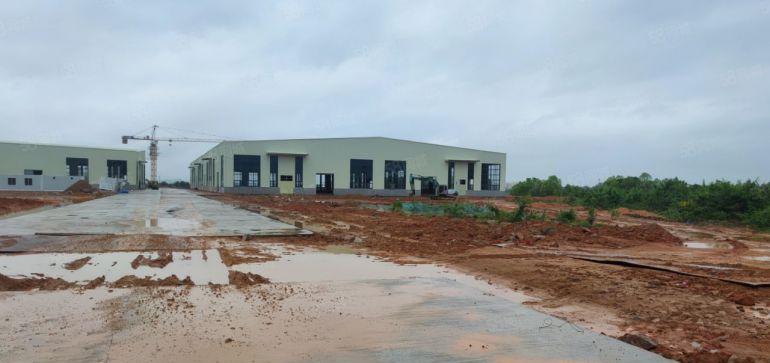 惠东11米钢结构11500平方出租，1000平起分租