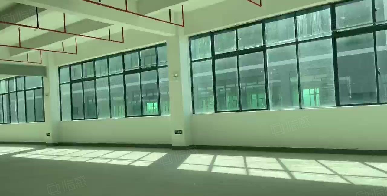 白花一楼7米3000平红本厂房出租 原房东零公摊 证件齐全