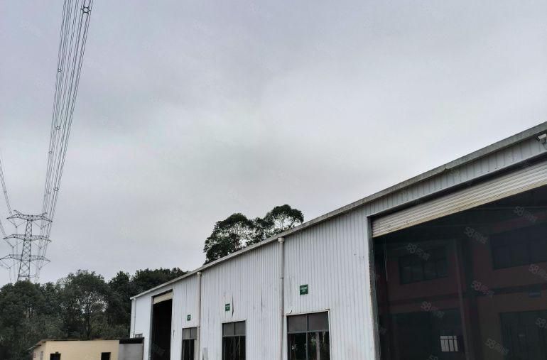 惠东新出小独院钢构厂房 2 栋共 3300 平出租招租