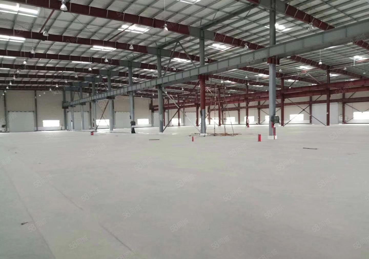 惠州市惠东白花工业园全新重工业钢构厂房5万方招租