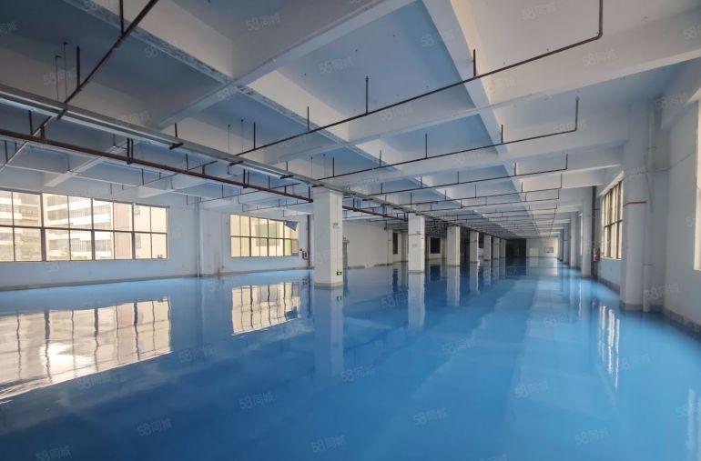 惠东大岭7块含税原房东全新带装修厂房实际面积出租