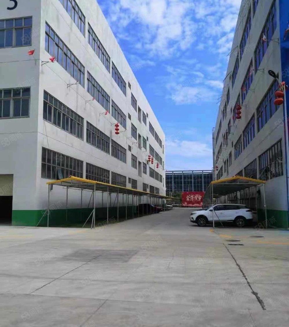 惠东县大岭镇6千平红本厂房出租 一路6米 主线到车间 好招工