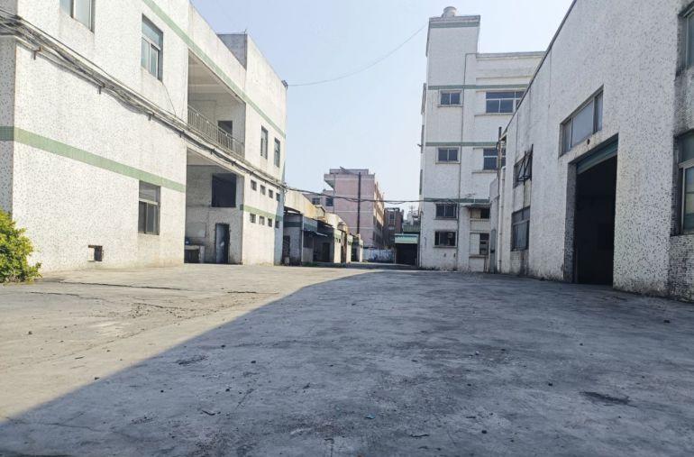 现成塑胶环评，惠东白花红本独院标准加钢构厂房招租