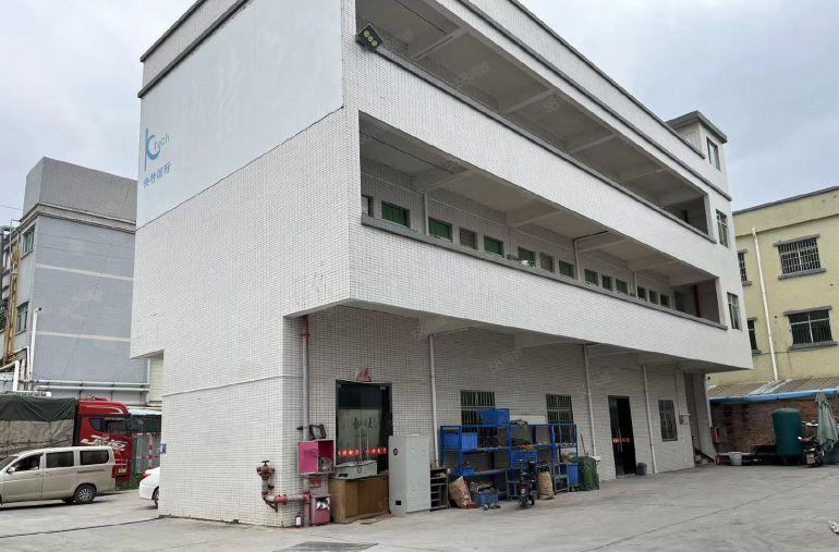 惠东县平山原房东独院钢构带牛角滴水10米厂房出租