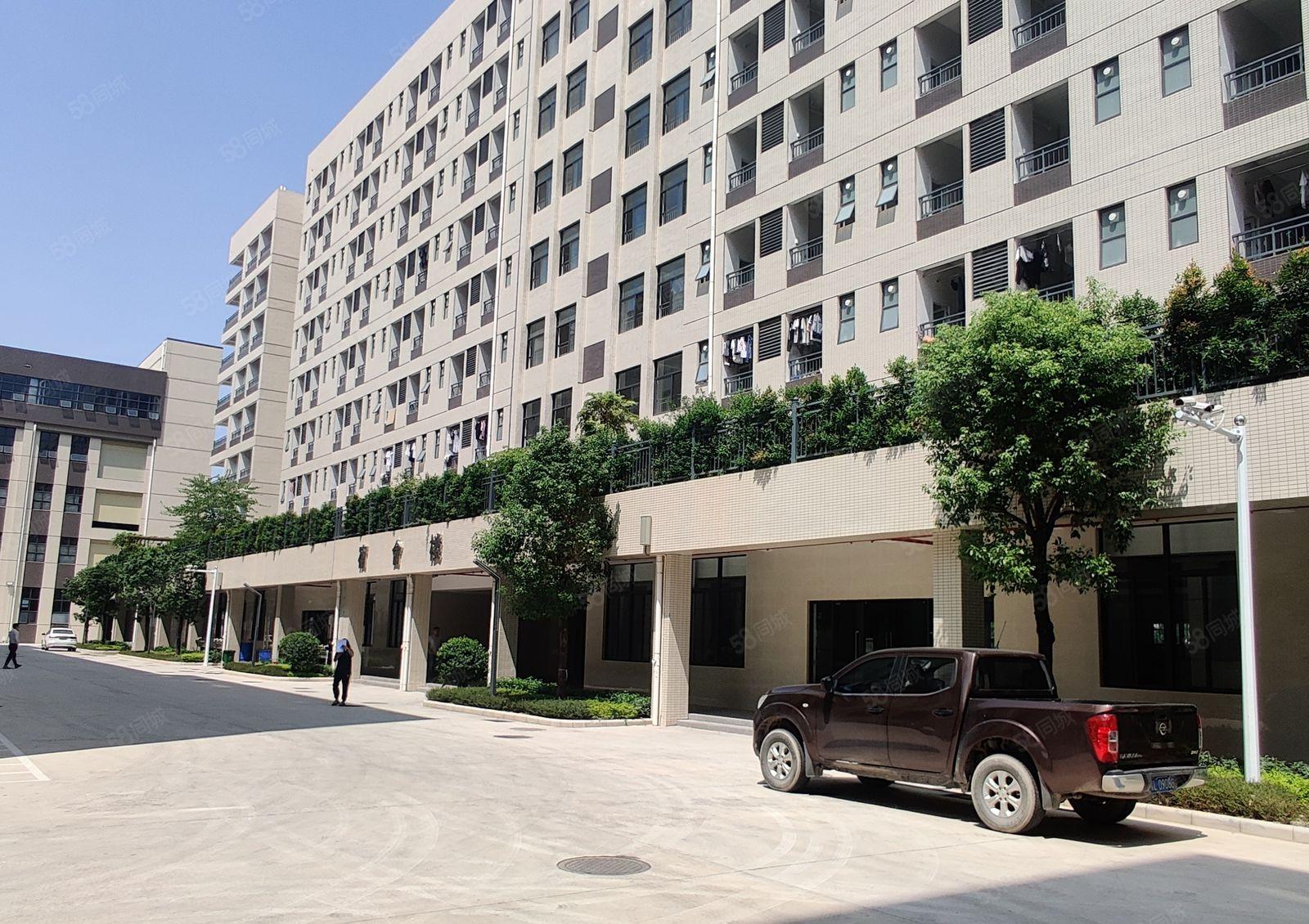 惠东大岭园区红本厂房招租200平起分两部三吨电梯可办环评