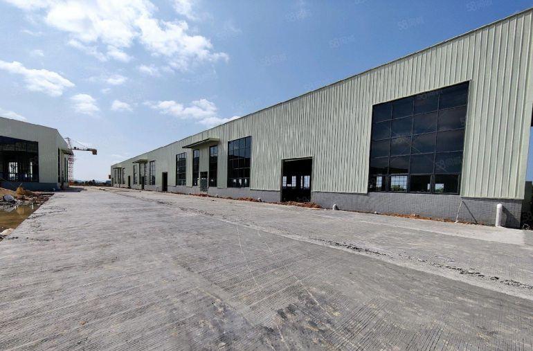 惠东11米钢结构11500平方出租，1000平起分租