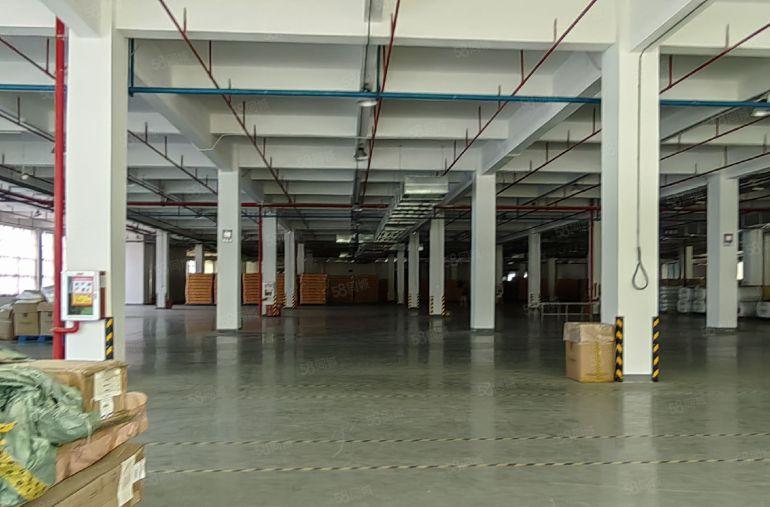 惠东大岭25200平方标准厂房，12600平一层，产证齐全