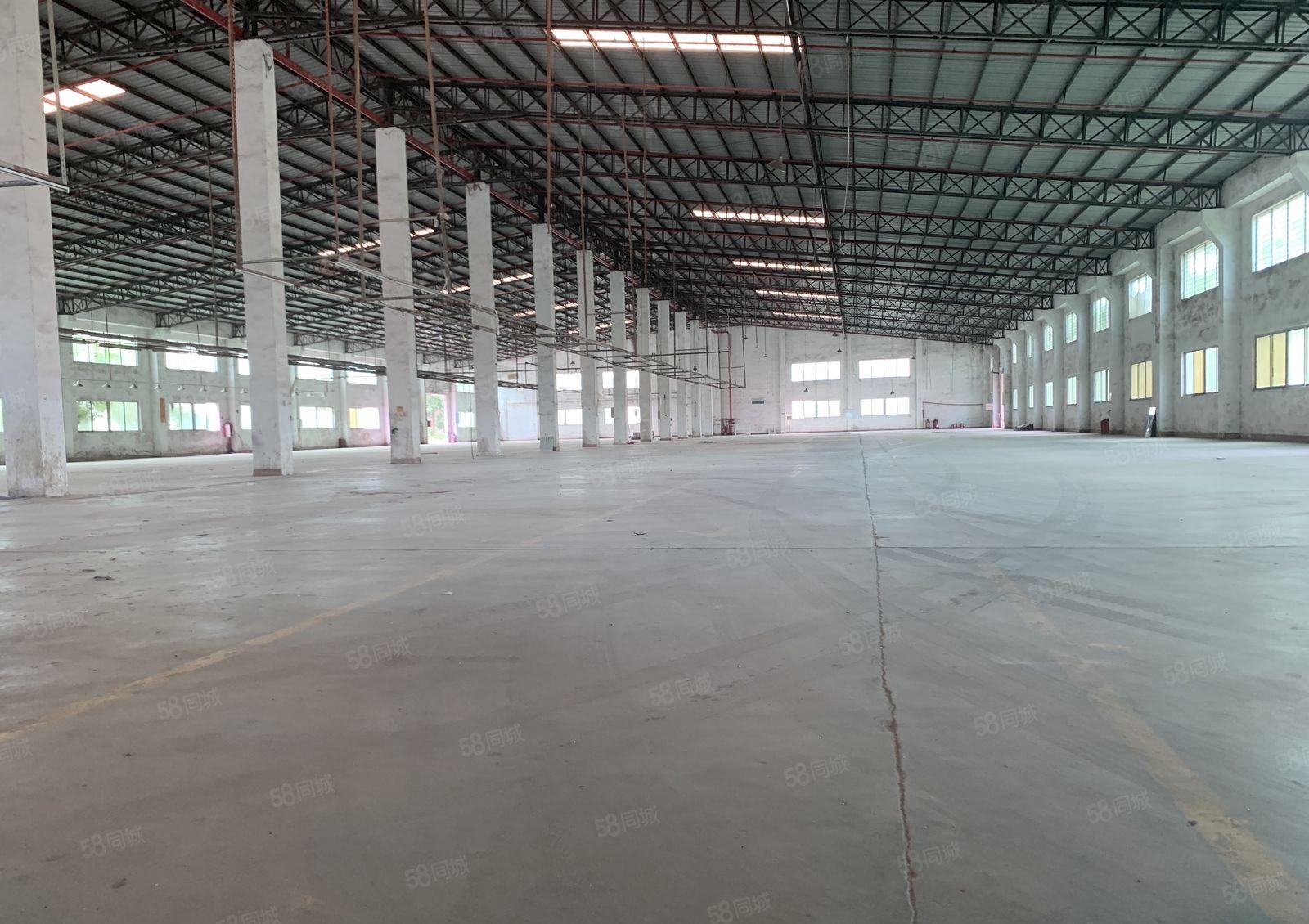 惠东红本钢构厂房2800平方可分租10米高空地大