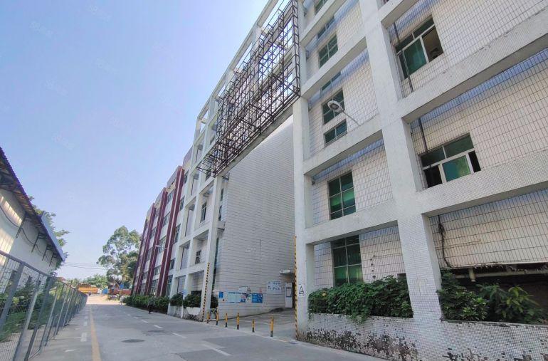 惠东大岭原房东独院独栋15000平低价厂房出租300平起分租