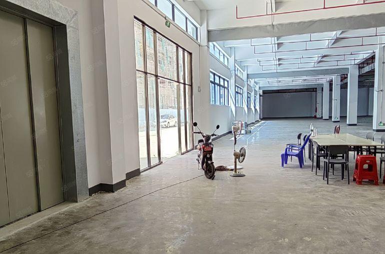 惠东大岭1万平方独栋全新厂房可分租，红本喷淋消防金刚砂耐磨地