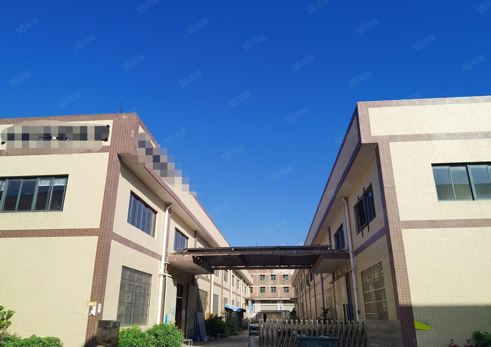 惠东县白花镇工业园内新空出滴水八米高钢结构厂房1700平出租