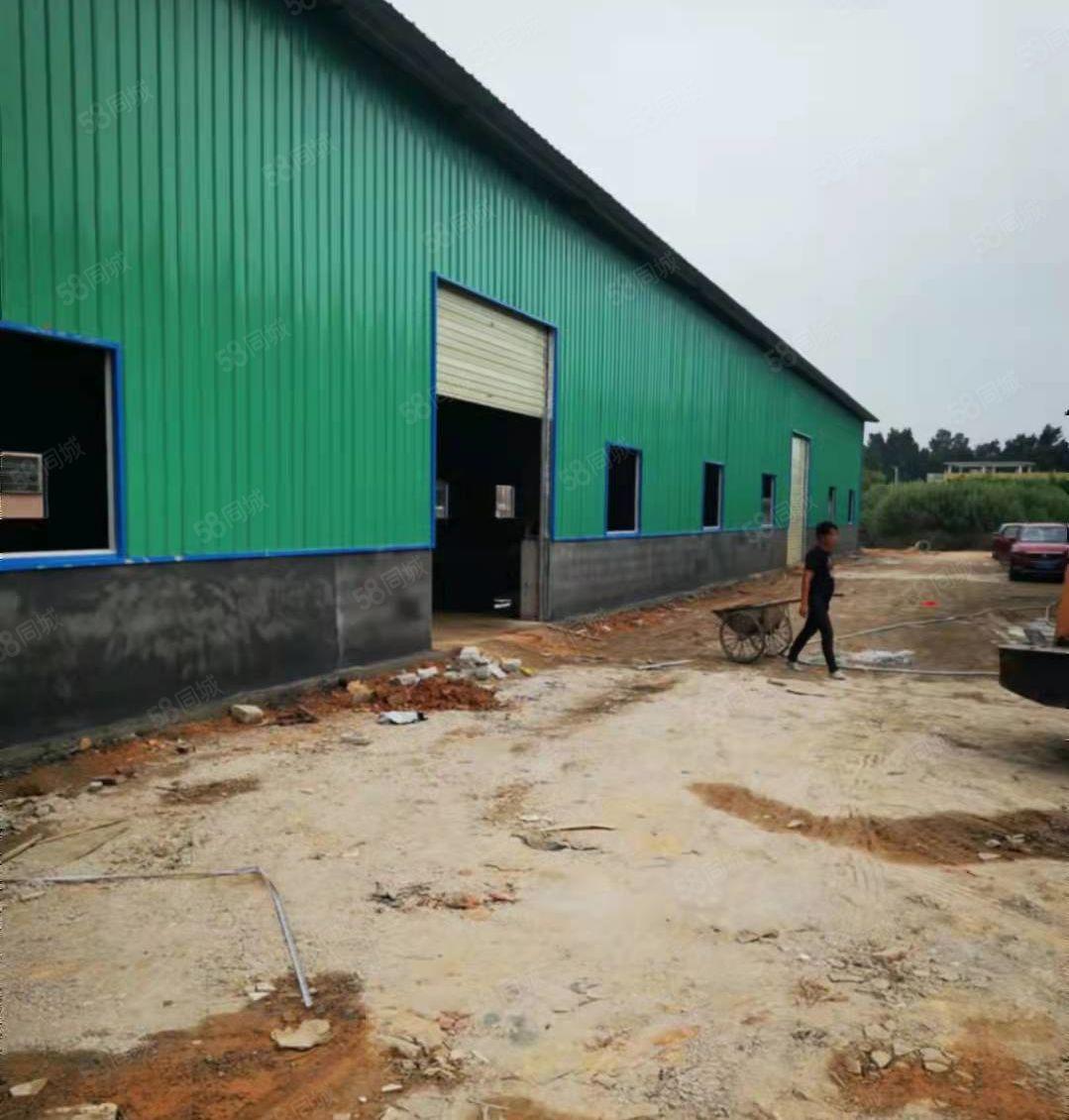 平潭自建钢构厂房招租滴水6米，已租一栋，钢构剩余2550平