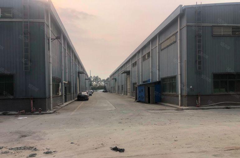 惠东县单一层独门独院12000平方空地8000平只要6元