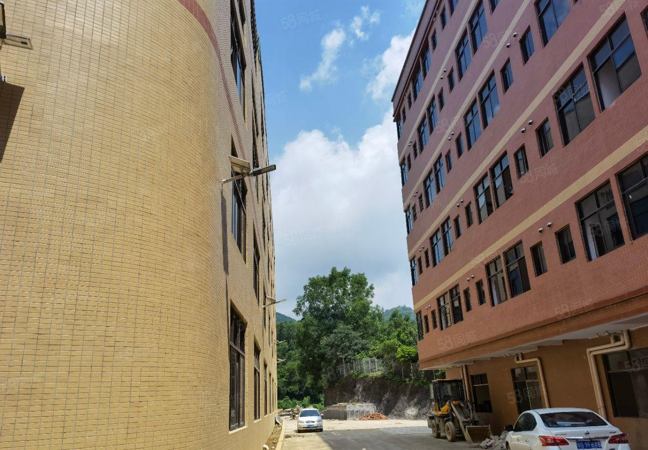 惠州市惠东吉隆镇独栋10500平全新钢结构厂房重工业