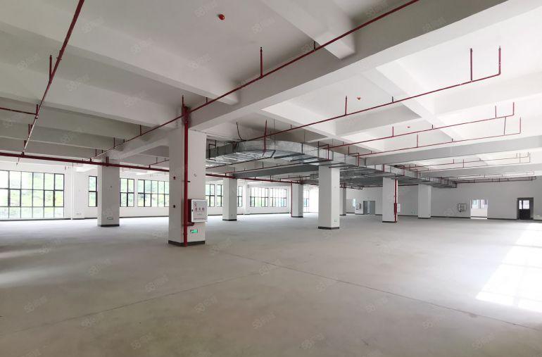 惠东高标准智造示范基地M2用地可围独院7元平起