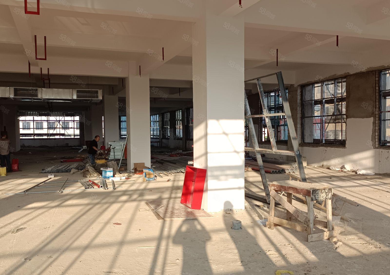 惠东原房东全新厂房 电梯厂房出租 可给物业包租的厂房