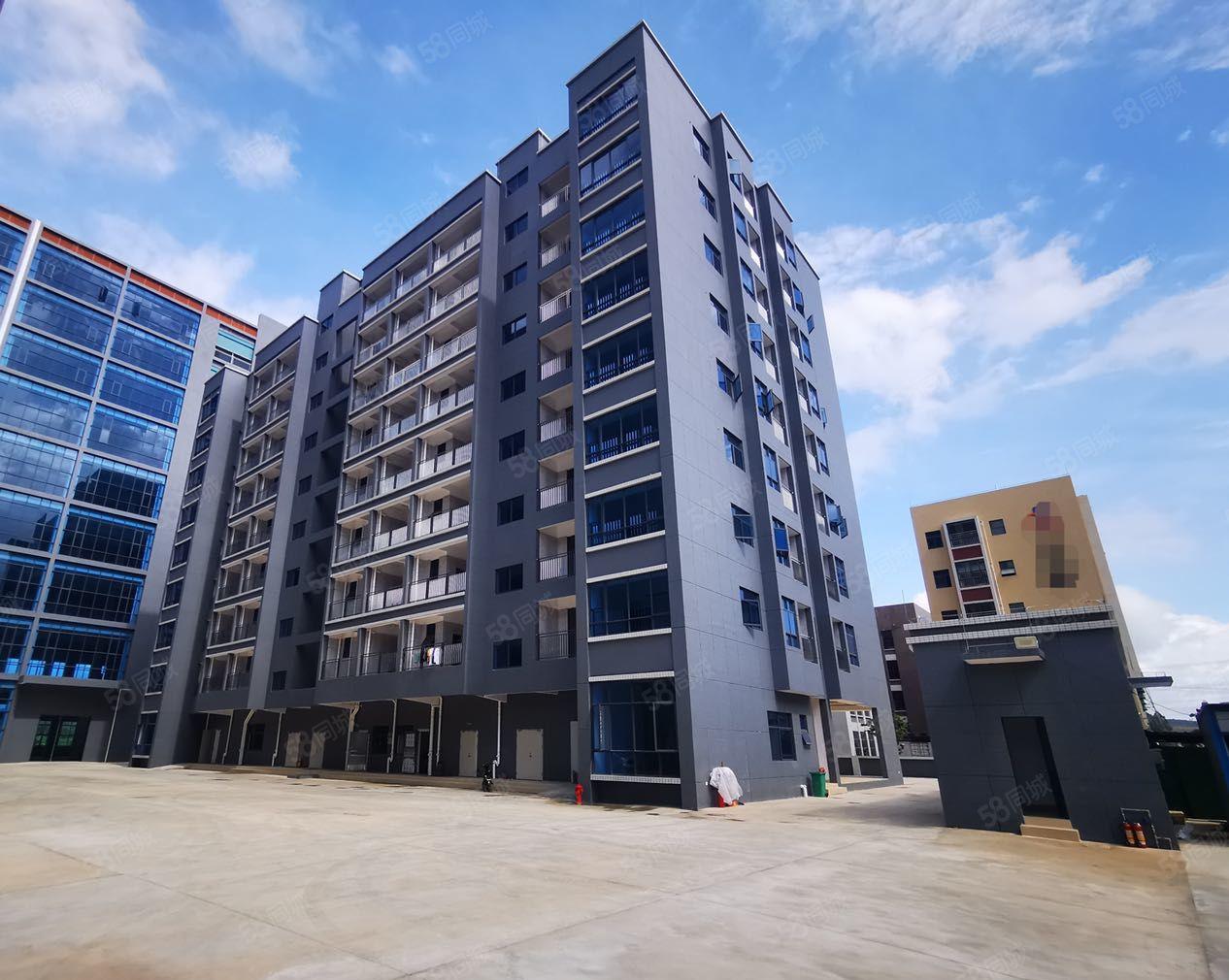 惠东白花全新红本标准园区5万平厂房出租 形象好 玻璃外墙