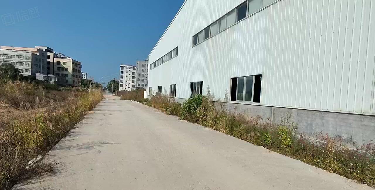 惠东白花原房东单一层独院厂房18000平方可以分租