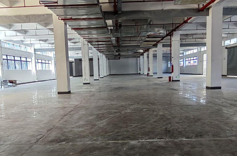 惠东大岭1万平方独栋全新厂房可分租，红本喷淋消防金刚砂耐磨地