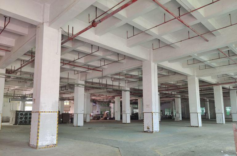 惠东大岭原房东独院独栋15000平低价厂房出租300平起分租