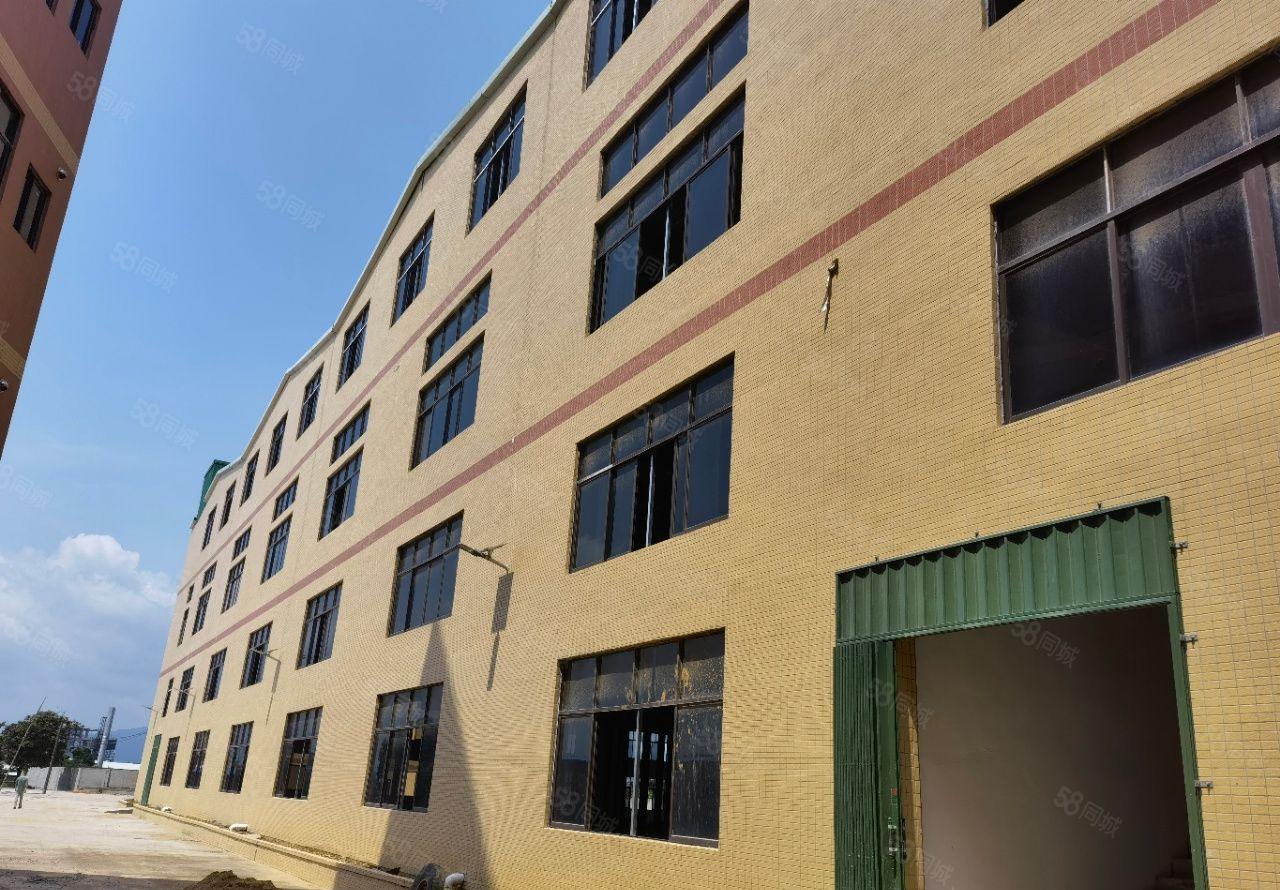 惠州市惠东吉隆镇独栋10500平全新钢结构厂房重工业