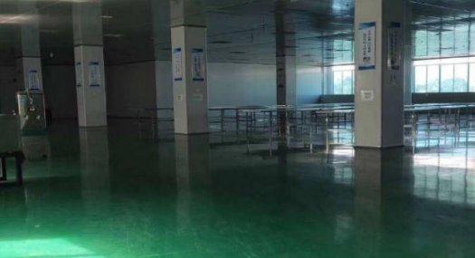 惠州博罗 20000㎡ 厂房租售配电3000KVA 独院 可环评 可分租