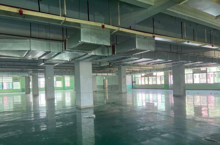 仲恺新出2000平带装修带地坪漆厂房仓库低价出租可分租空地大