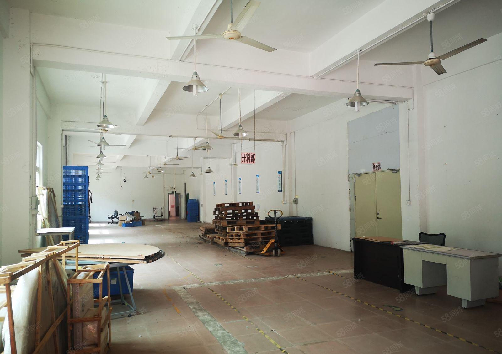 惠州仲恺沥淋镇新出3600平方村委厂房出租可分租