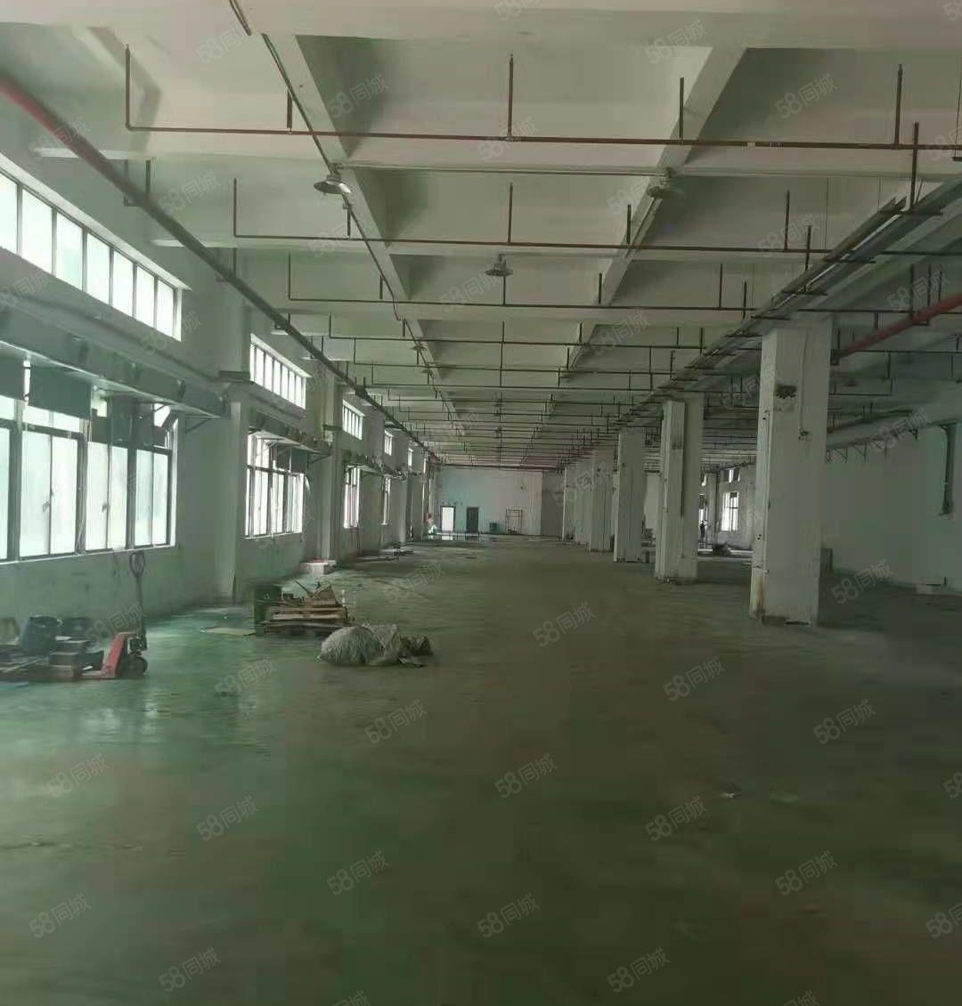 陈江镇标准新建红本78000厂房出租，交通便利！园区空地大！