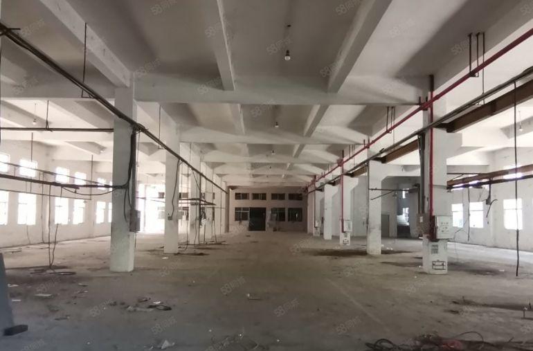 500平方起租陈江主干道旁原房东独门独院花园式厂房