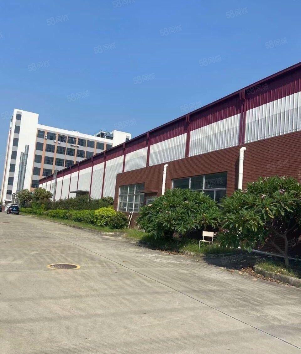 高10米仲恺TCL靠近四环路独院钢构15600方600方起分