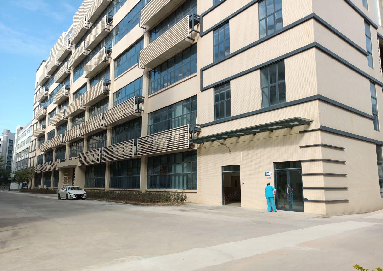 仲恺 沥林 高速路口 原房东 全新5000平方厂房出租可分租