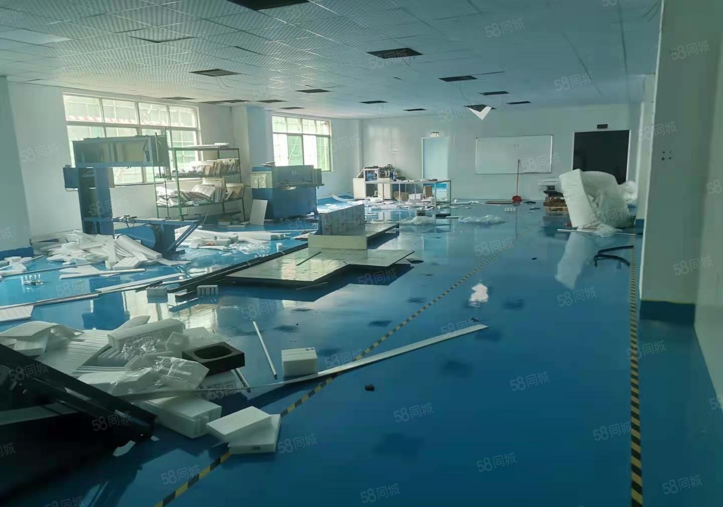 潼桥工业区原房东厂房流楼上整层900平方，带精装修