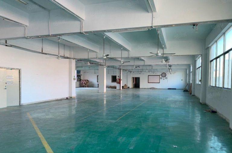 沥林8元厂房，1000平现成装修，原房东厂房出租，不限行业