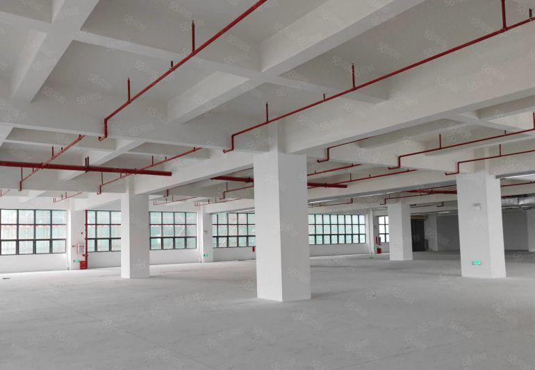 （仲恺全新厂房出租）潼湖中韩（惠州）产业园起步区全新厂房出租