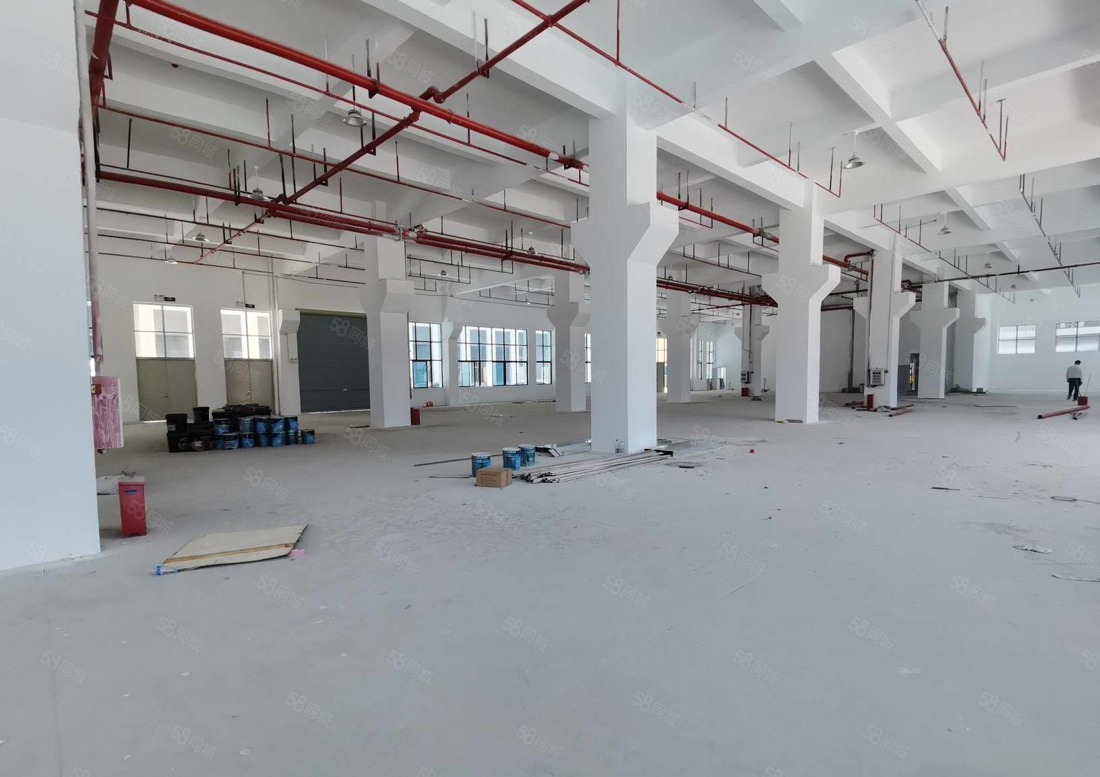 陈江惠环原房东工业园5万平红本厂房出租500平起分租一楼7米