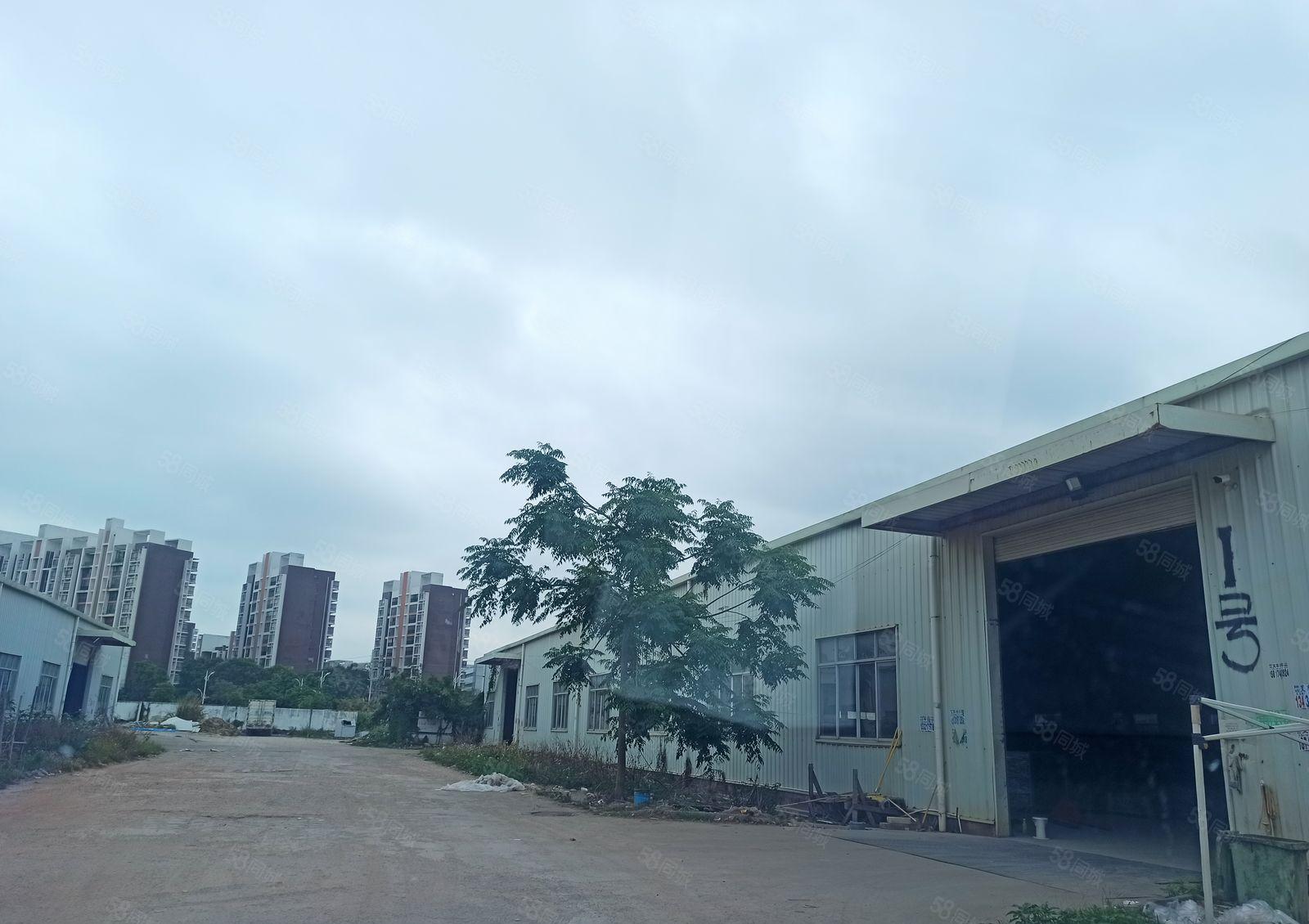 历林单层一楼厂房出租1600平可分租