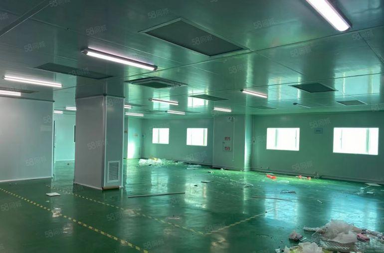 仲恺高新标准厂房1080平方出租带装修