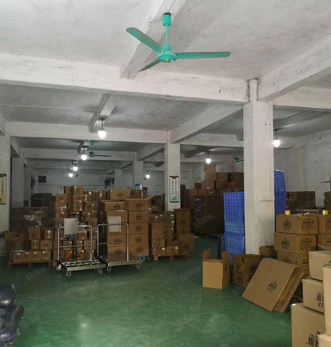 惠环西坑标准厂房出租 2000平 750平方 带货梯