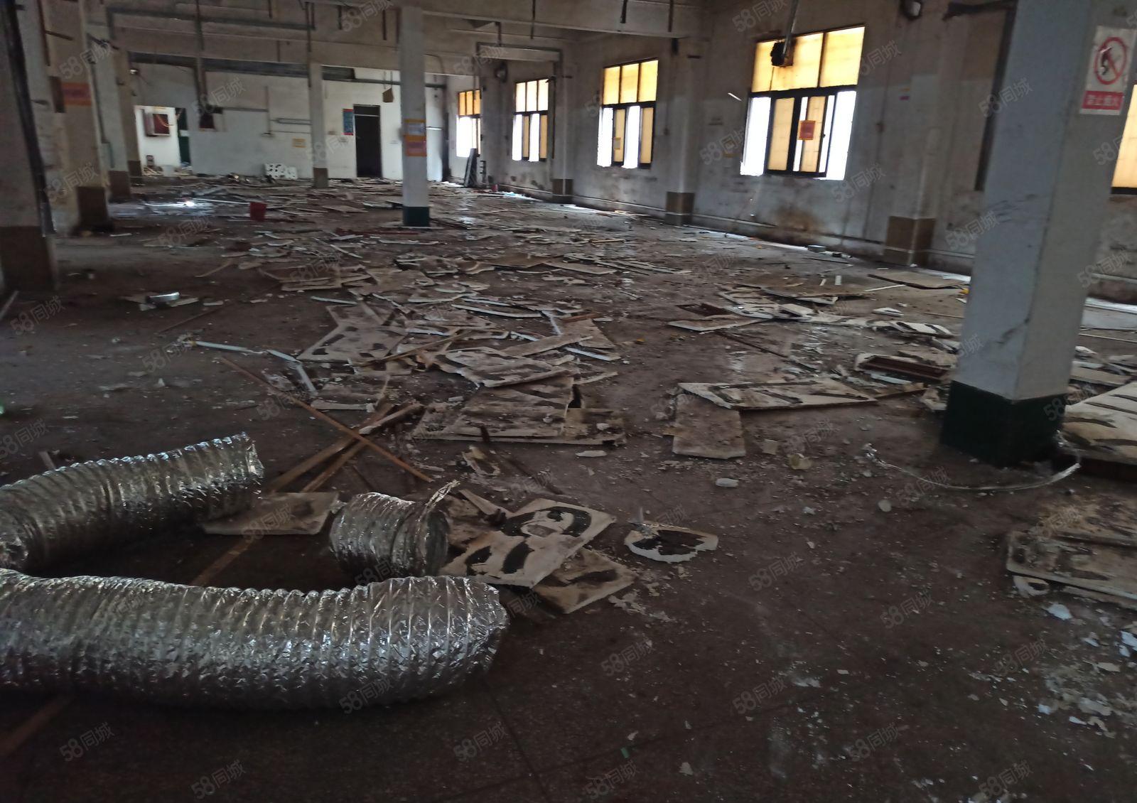 历林单层一楼厂房出租1600平可分租