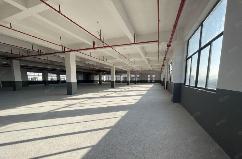 仲恺陈江特价15元独门独院1500平全新免租3个月