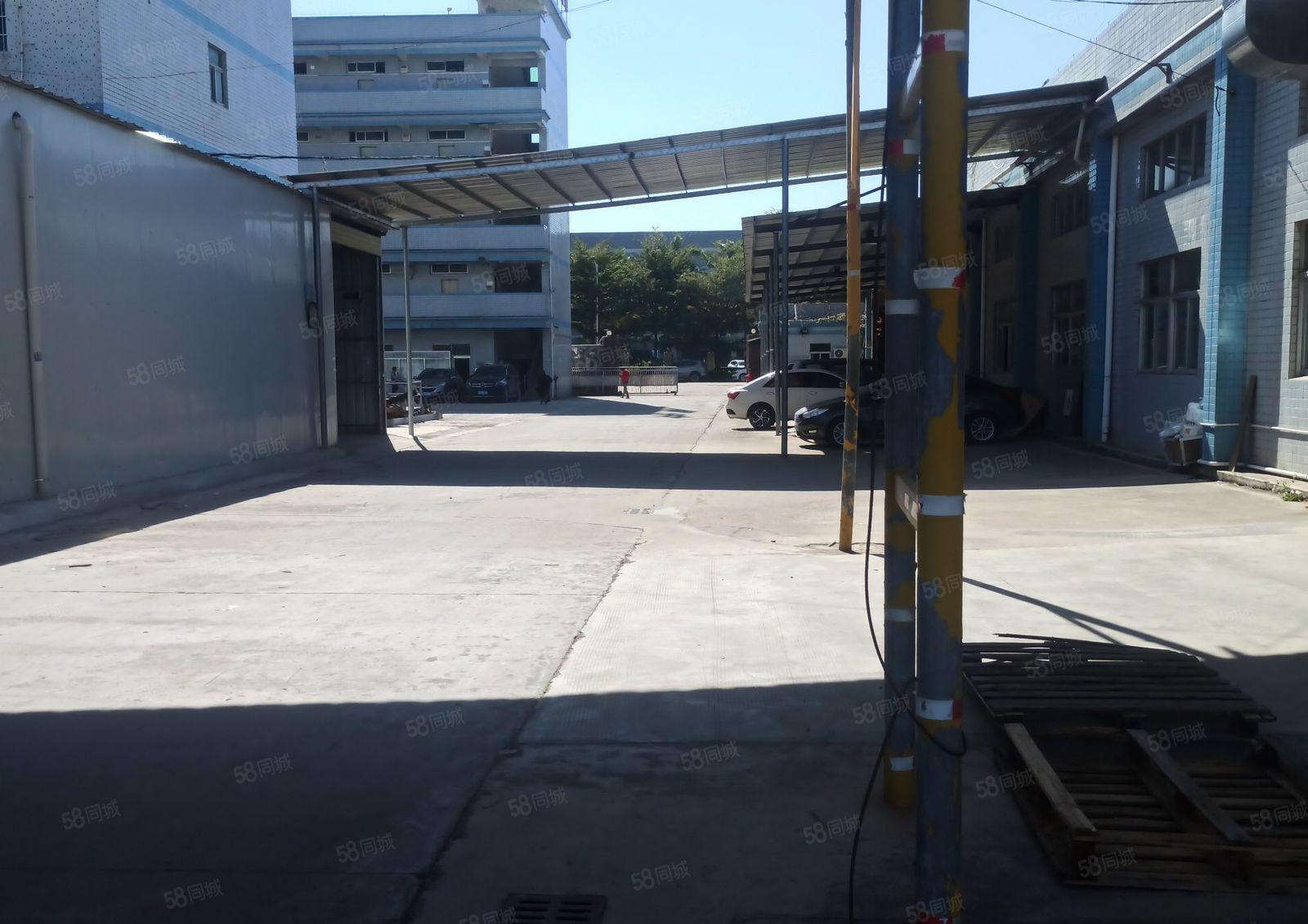 陈江五一工业区单一层厂房1050平方，滴水高度6米可分租。