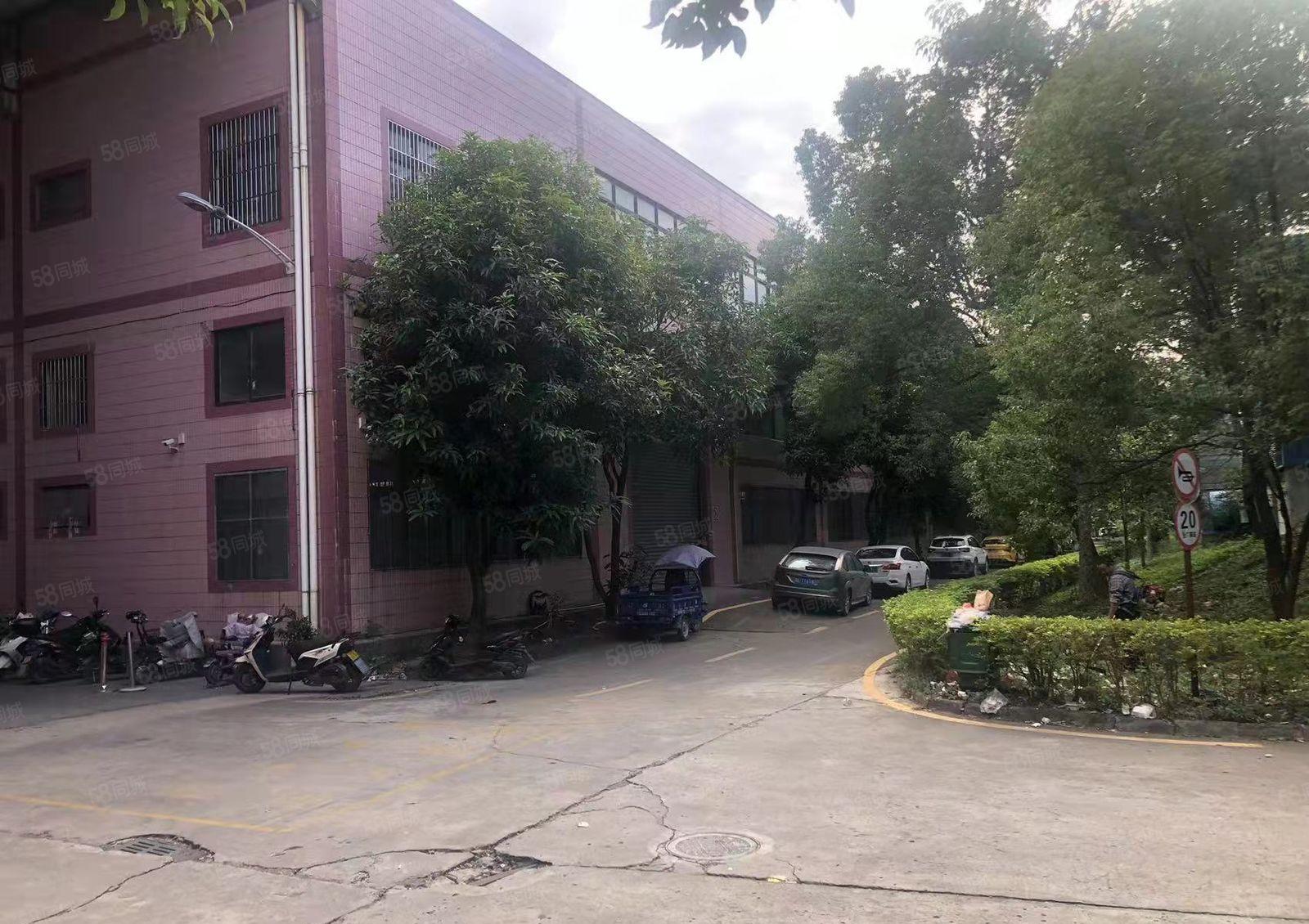 仲恺高新12米红本钢构厂房16000平方招租