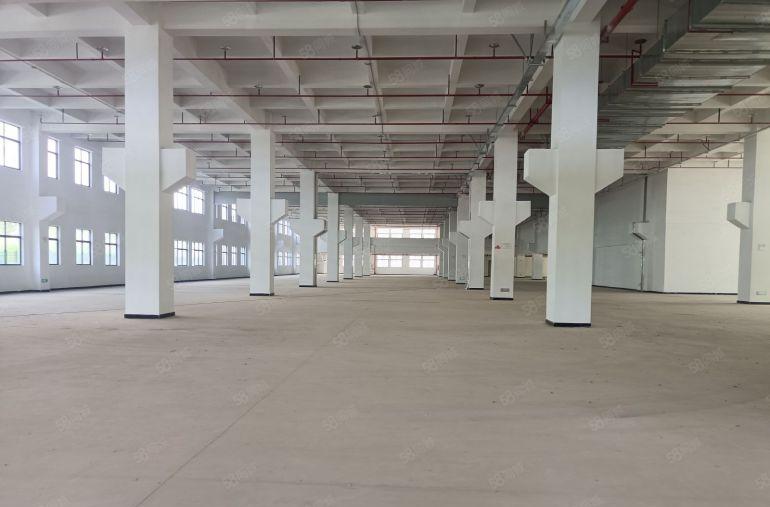 仲恺原房东全新红本独院40000平米厂房出租可分租空地超大
