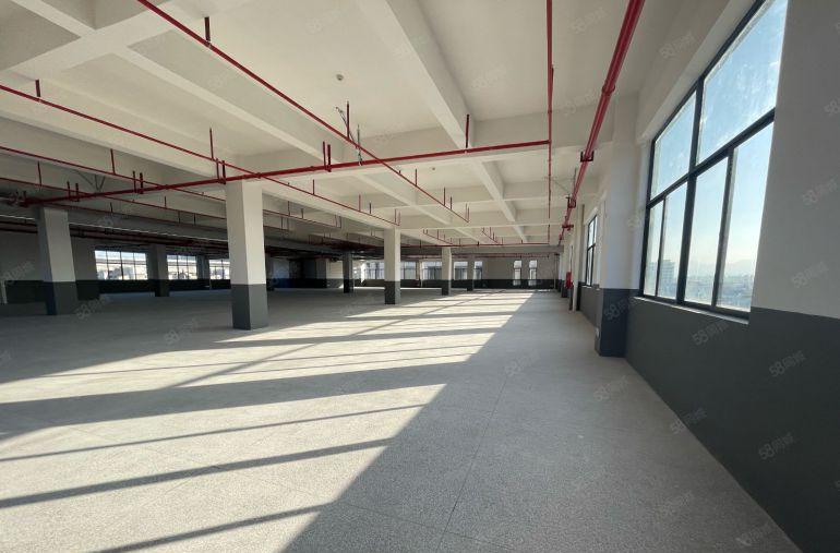 陈江原房东1800厂房特价12元实际面积出租红本带消防喷淋