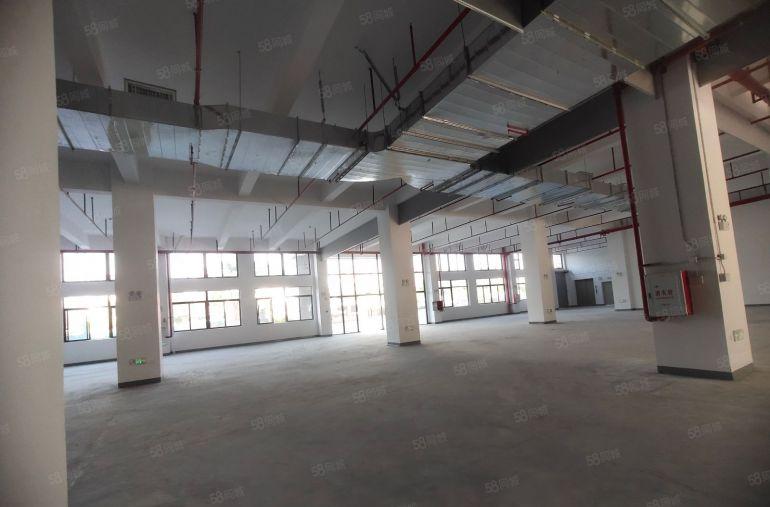 仲恺沥林2000平红本独院厂房仓库带车位出租可分租