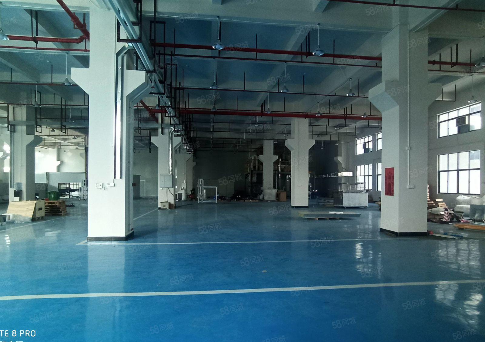 仲恺高新区工业园新出一楼3000平，可以分租